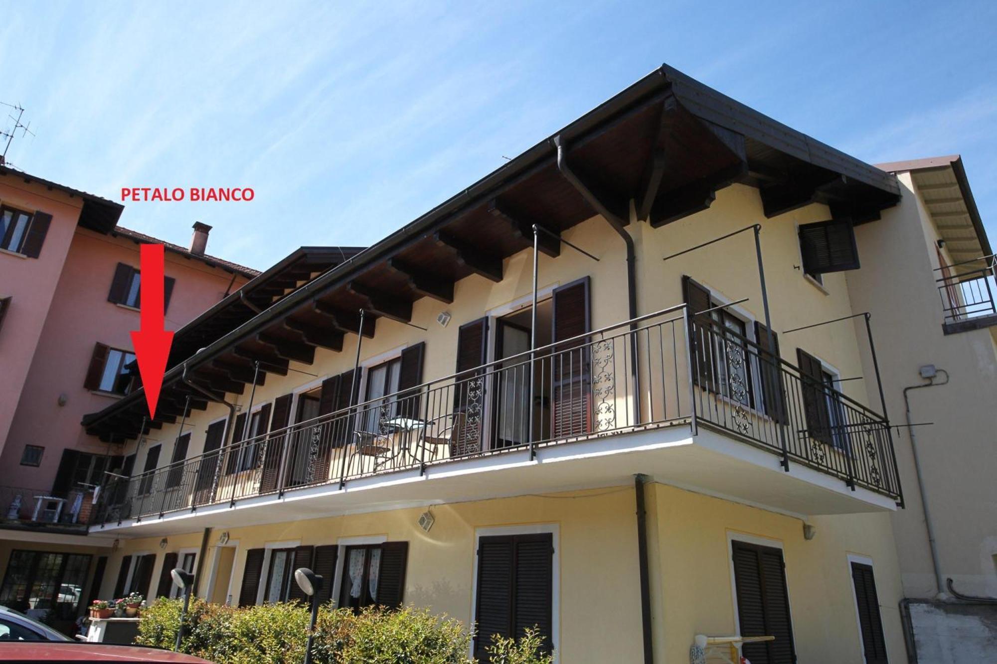 Petalo Bianco 100M From Lake - Happy Rentals Baveno Eksteriør billede